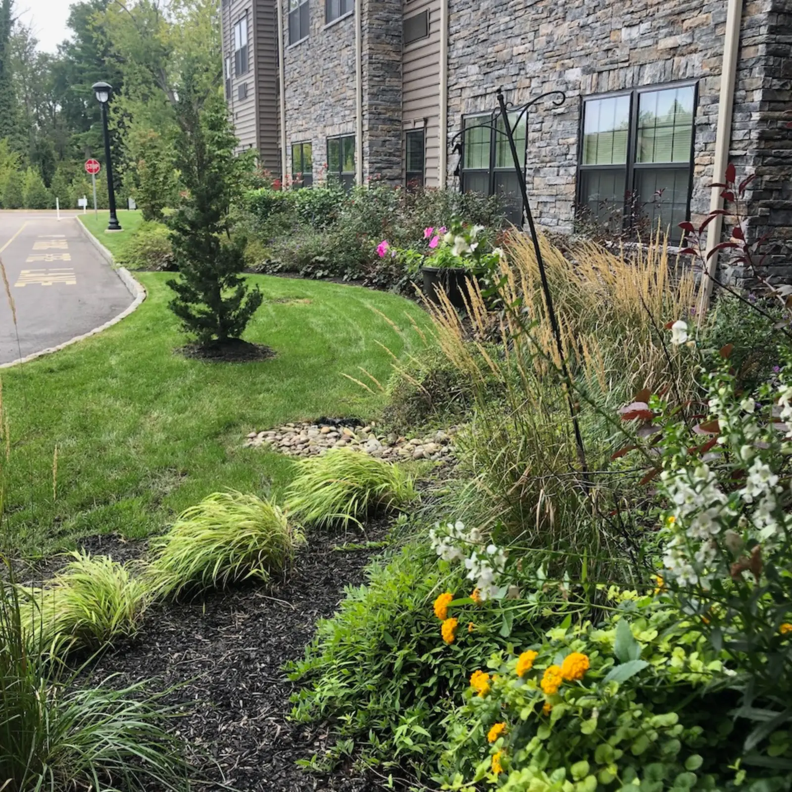 Senior living, Wayne